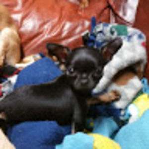 Meet your Posher, Aaron